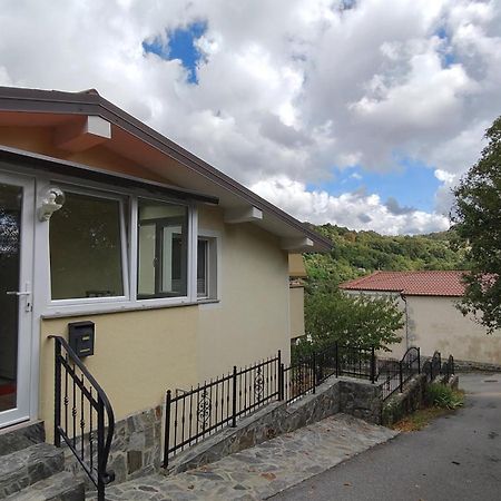 Apartma Apollonio Črni Kal 外观 照片